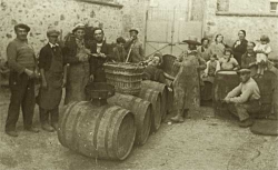 Champagne Alain NAVARRE - Les barriques aprés le pressurage Champagne Alain NAVARRE - Les barriques aprés le pressurage