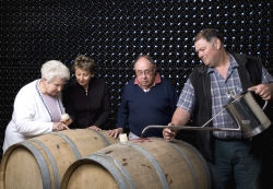 Champagne Alain NAVARRE - Controle et mise à niveau des Cuvées Champagne Alain NAVARRE - Controle et mise à niveau des Cuvées